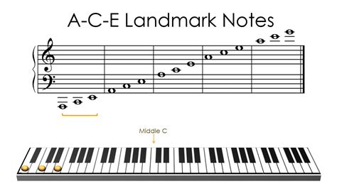 what is acw|acw notes.
